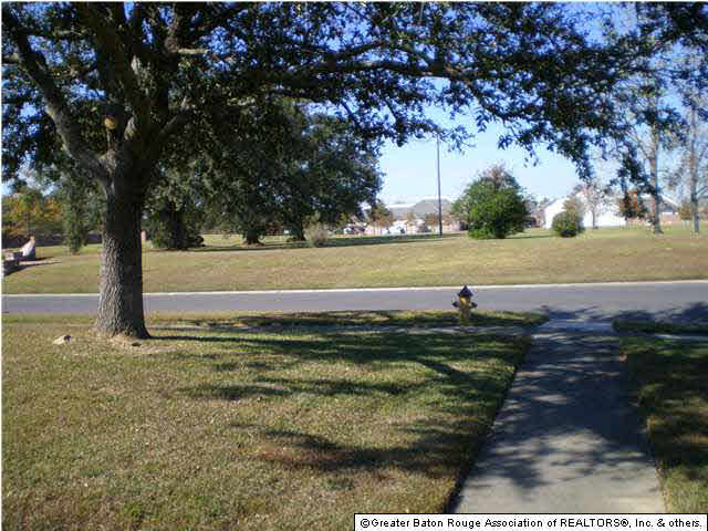 11414 Oak Point Avenue Baton Rouge, LA 70810 - Photo 16 of 21 Gallery Image 16