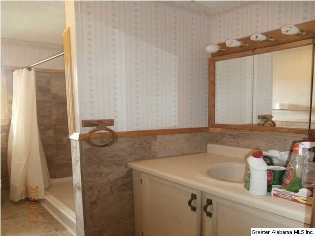 4238 Nauvoo Road Nauvoo, AL 35578 - Photo 11 of 28