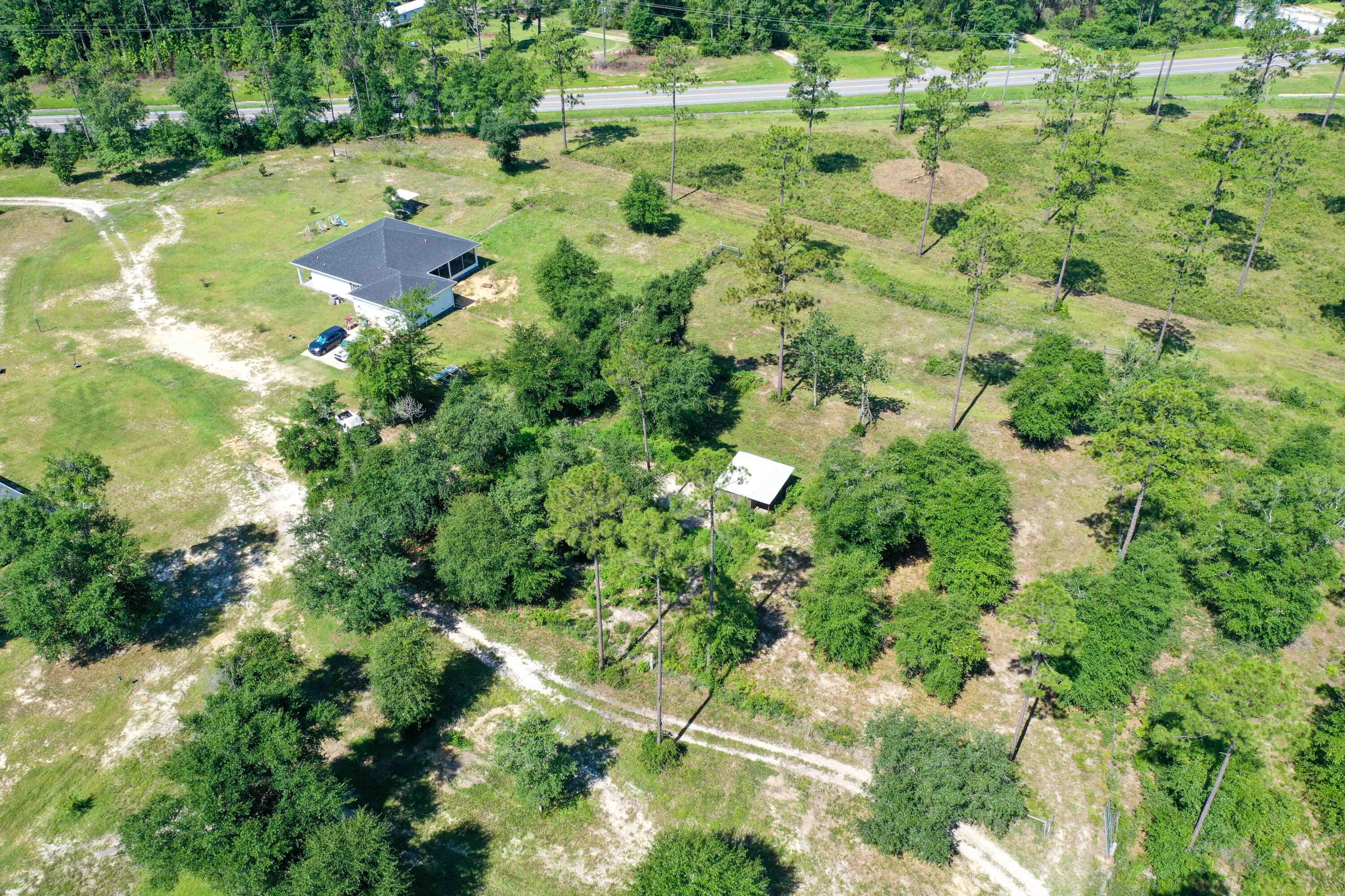 6251 Highway 4 Baker, FL 32531 - Photo 16 of 22 a view of a yard with a tree