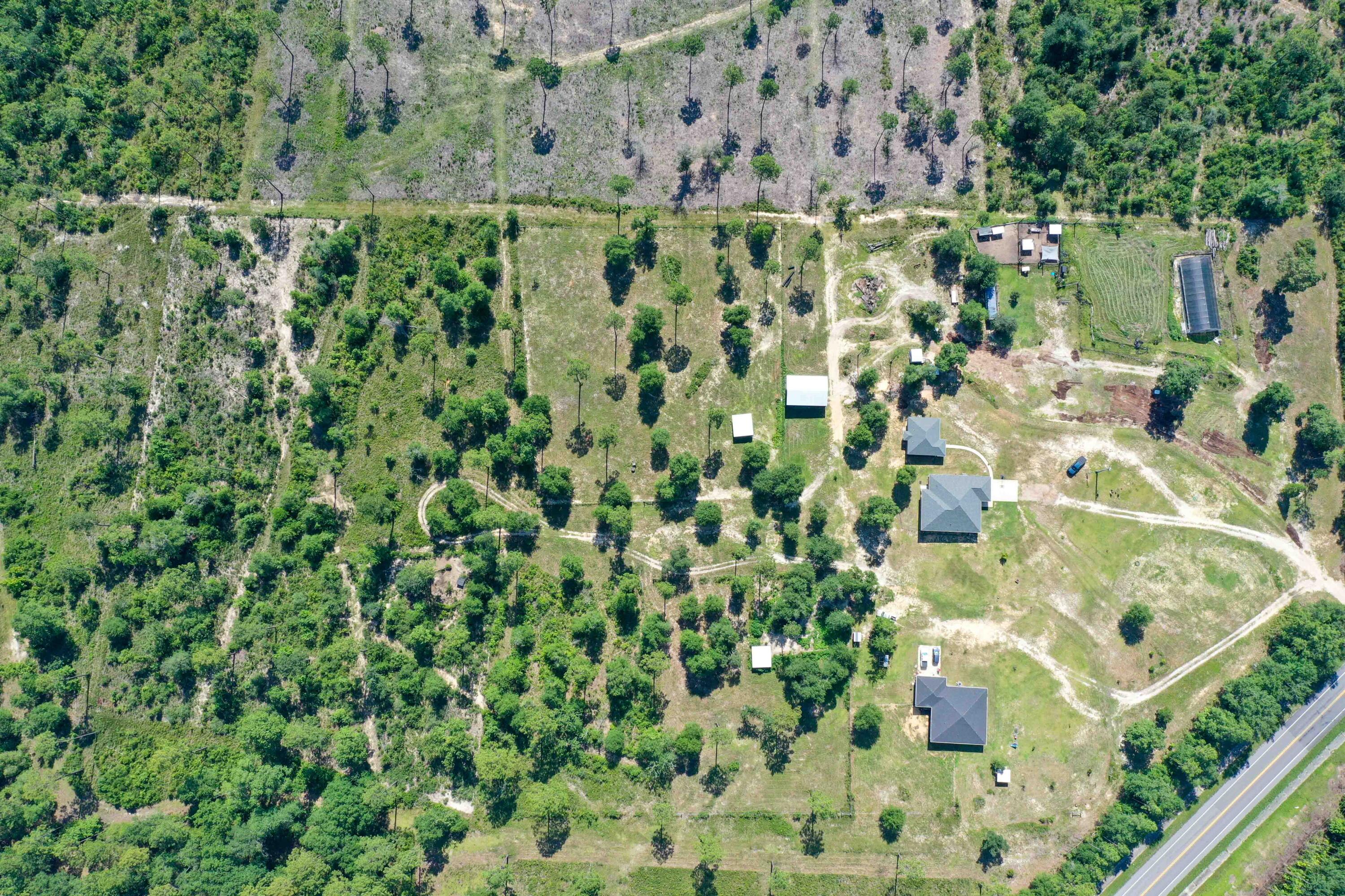 6251 Highway 4 Baker, FL 32531 - Photo 18 of 22 a view of a garden with a tree