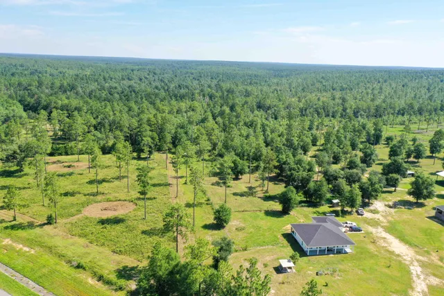 a view of a garden with an outdoor space