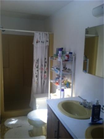 19 Randall Road Rochester, MA 02770 - Photo 16 of 19 a bathroom with a sink a toilet and shower
