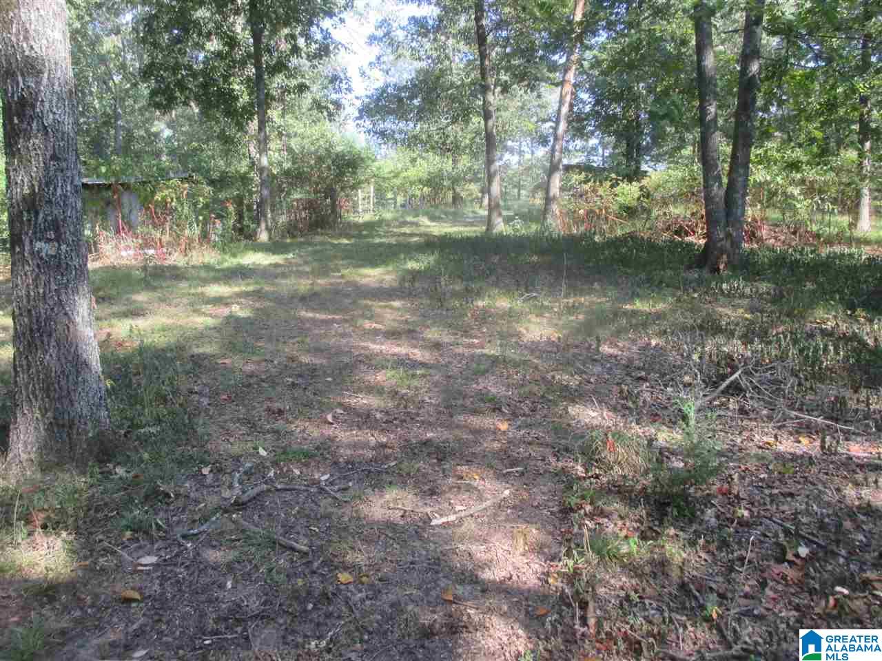 1561 Rainbow Lane Warrior, AL 35180 - Photo 32 of 34