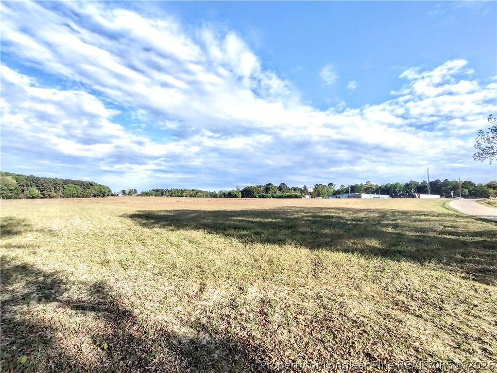 0 Tramway Road Sanford, NC 27332 - Photo 2 of 13