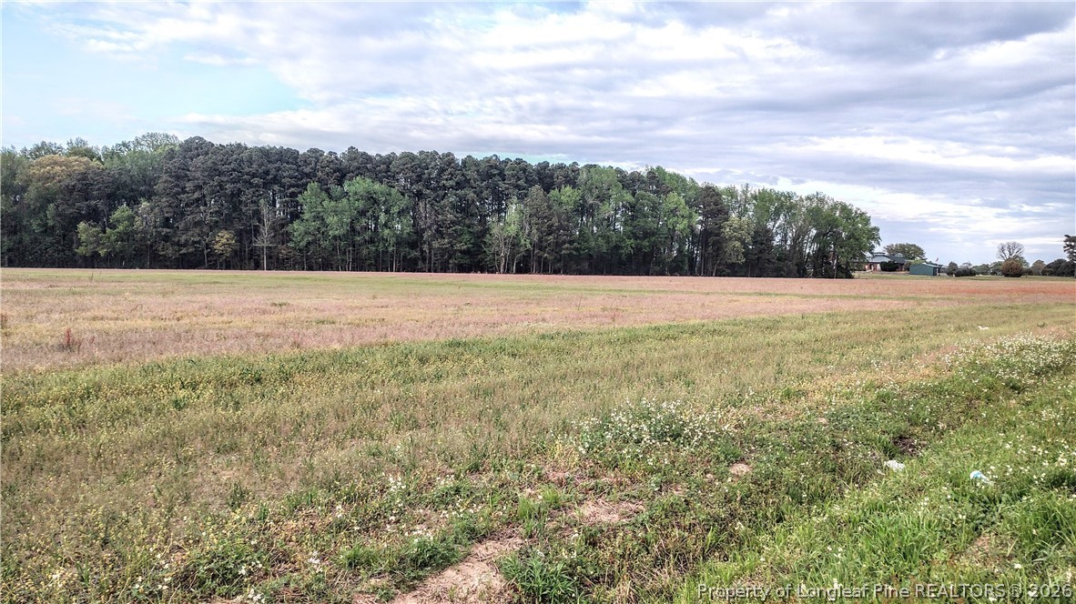 0 Tramway Road Sanford, NC 27332 - Photo 3 of 13