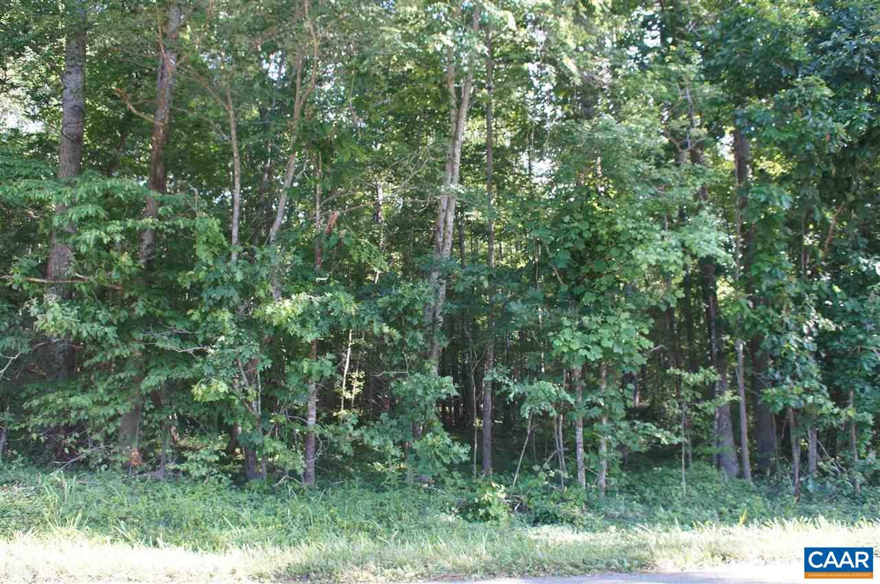 0 Deep Creek Road Palmyra, VA 22963 - Photo 12 of 13 Gallery Image 12