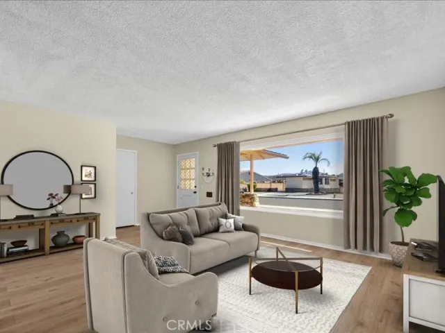 a living room with furniture a rug a lamp and a potted plant