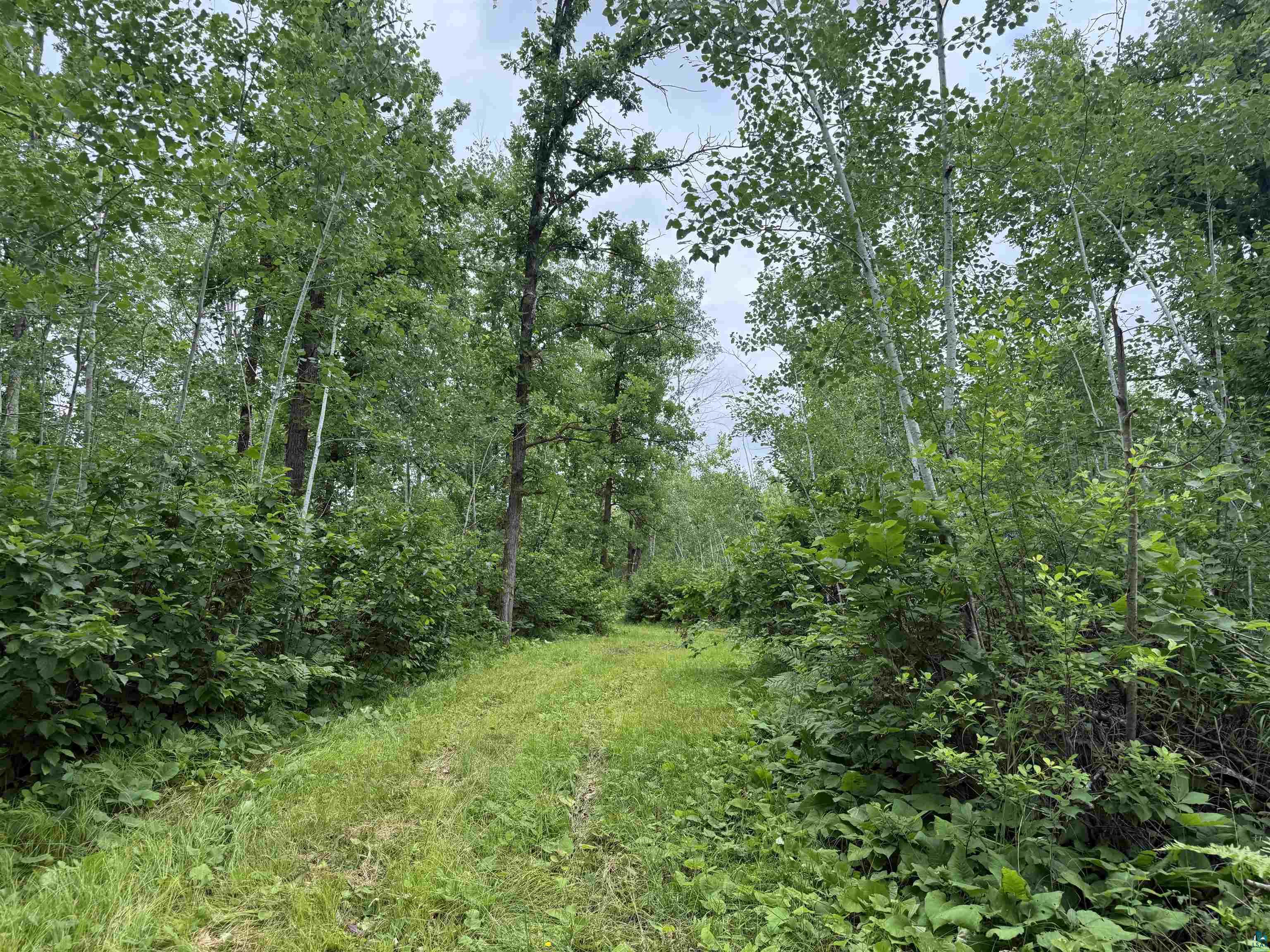 58059 Wolf Creek Road Sandstone, MN 55072 - Photo 23 of 31