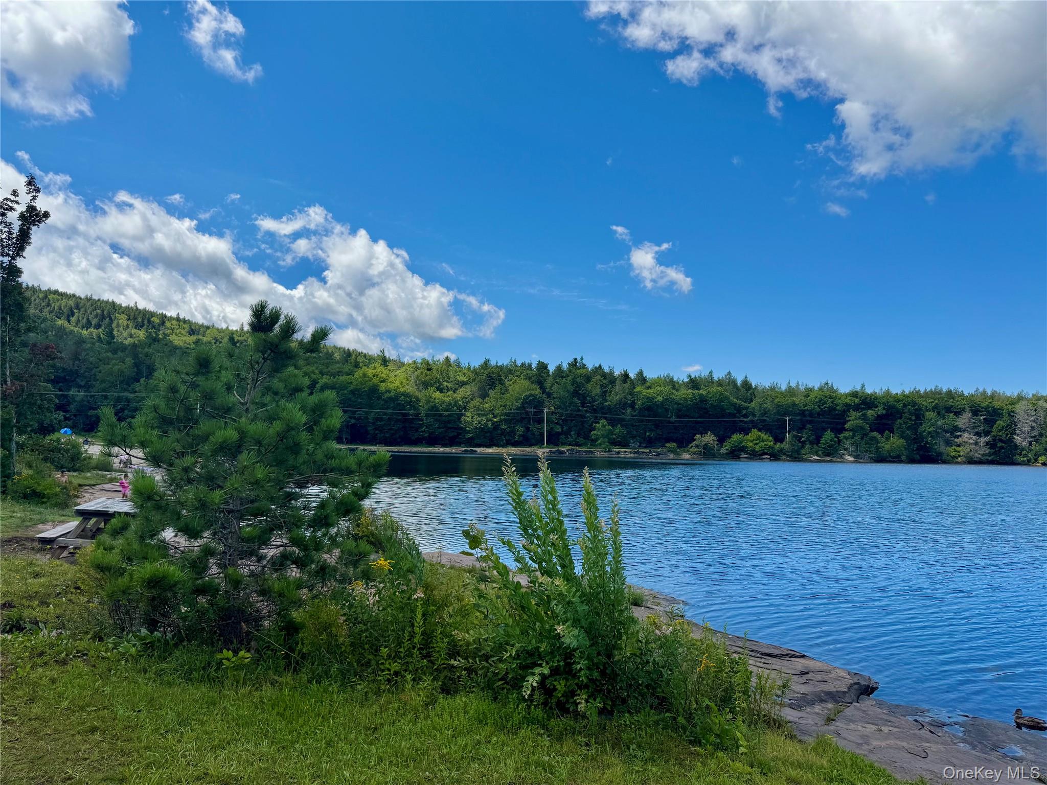 398 Lake Road Hunter, NY 12442 - Photo 32 of 33 Gallery Image 32