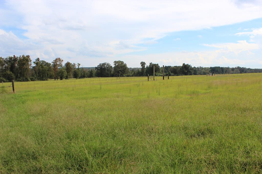 2498 Tindil Creek Road Slocomb, AL 36375 - Photo 41 of 49 Property View