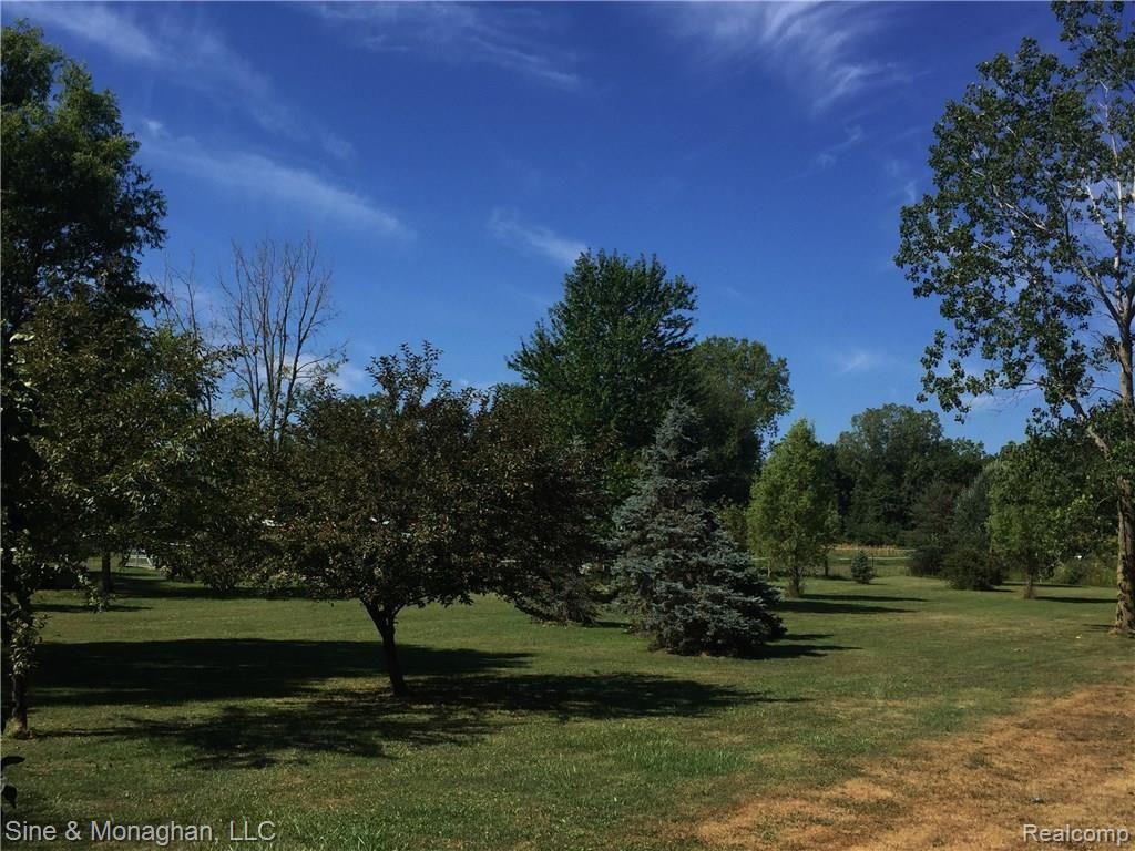696 Mayer Road Columbus, MI 48063 - Photo 22 of 22 yard2.JPG