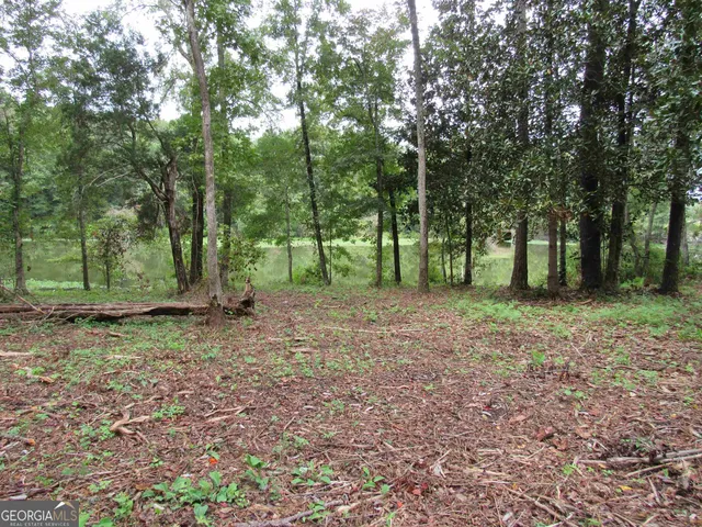 $279,900 | 109 Barfoot Bayou Lane, Unit 5, Eufaula, AL 36027