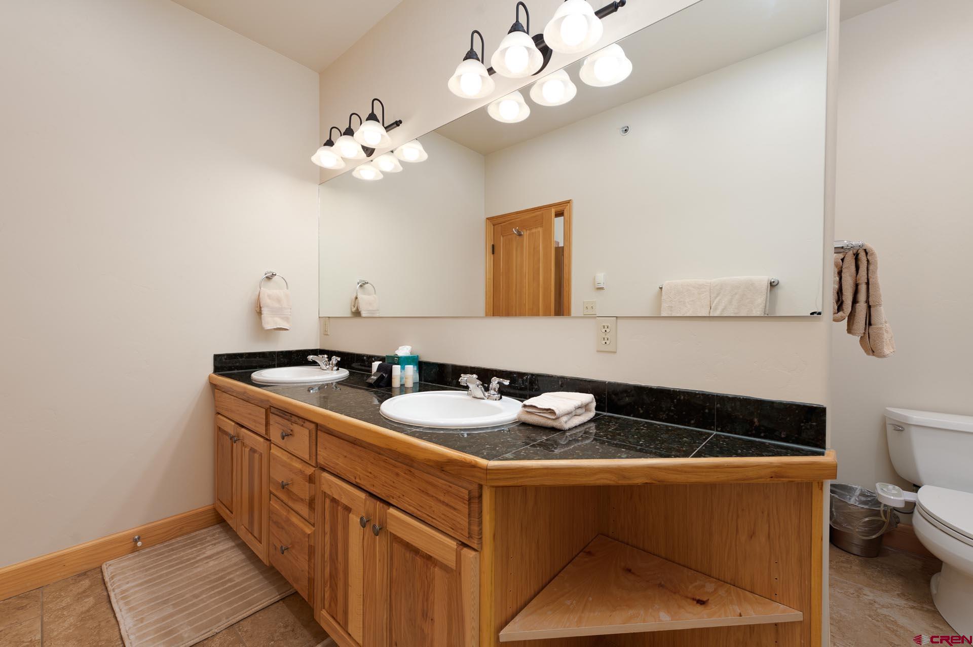 1422 Animas View Drive, Unit 55 Durango, CO 81301 - Photo 16 of 44 a bathroom with a sink a mirror and a toilet