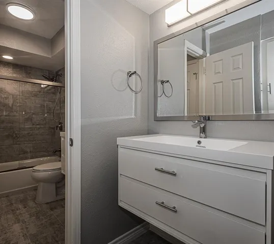 a bathroom with a double vanity sink mirror and toilet