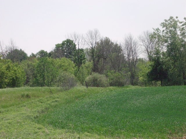 2350 North Black Road Twining, MI 48766 - Photo 24 of 35 1800556-23.JPG