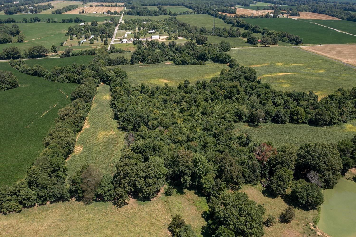 300 Stover Road Martin, TN 38237 - Photo 6 of 7 an aerial view of a houses with outdoor space and trees all around