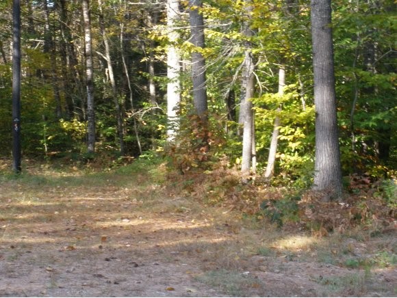 Lot 60 Bragdon Farm Road Wakefield, NH 03830 - Photo 1 of 1 Gallery Image 1