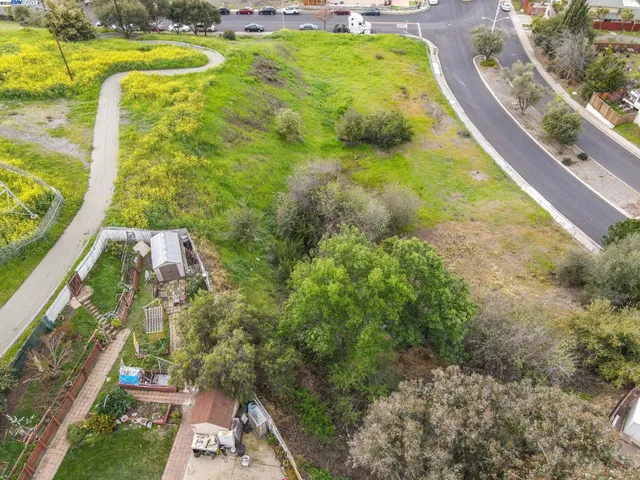 a view of swimming pool with a garden