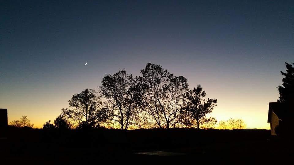 155 Wheatland Road Buchanan, VA 24066 - Photo 28 of 31 155 sunset