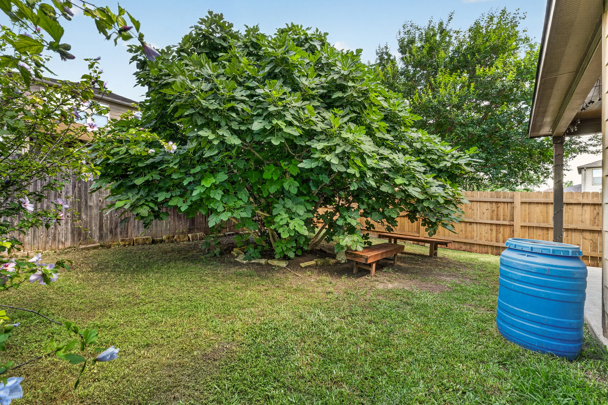 9917 Wading Pool Path Austin, TX 78748 - Photo 21 of 25