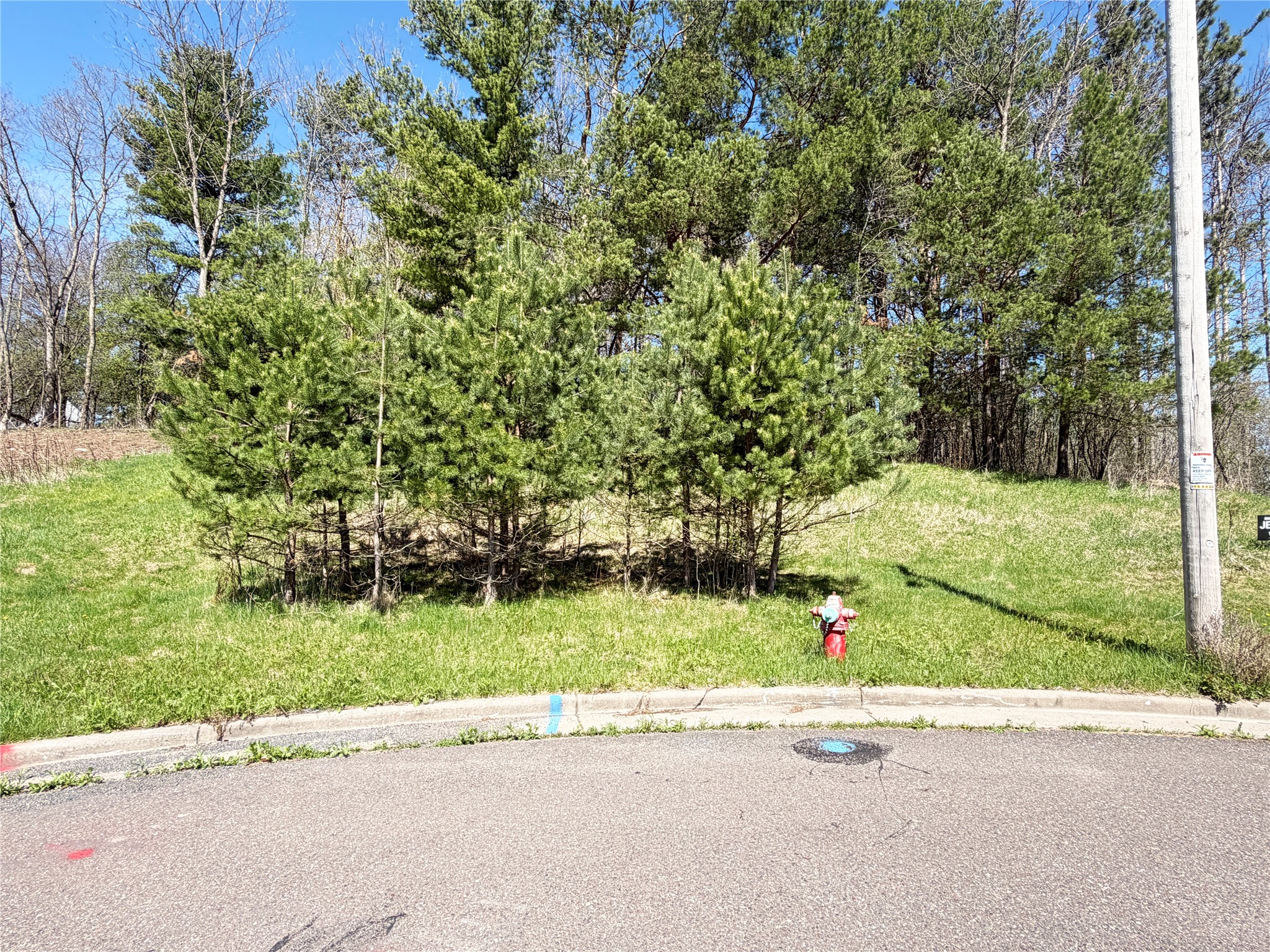 950 Emerald Court Rice Lake, WI 54868 - Photo 3 of 9