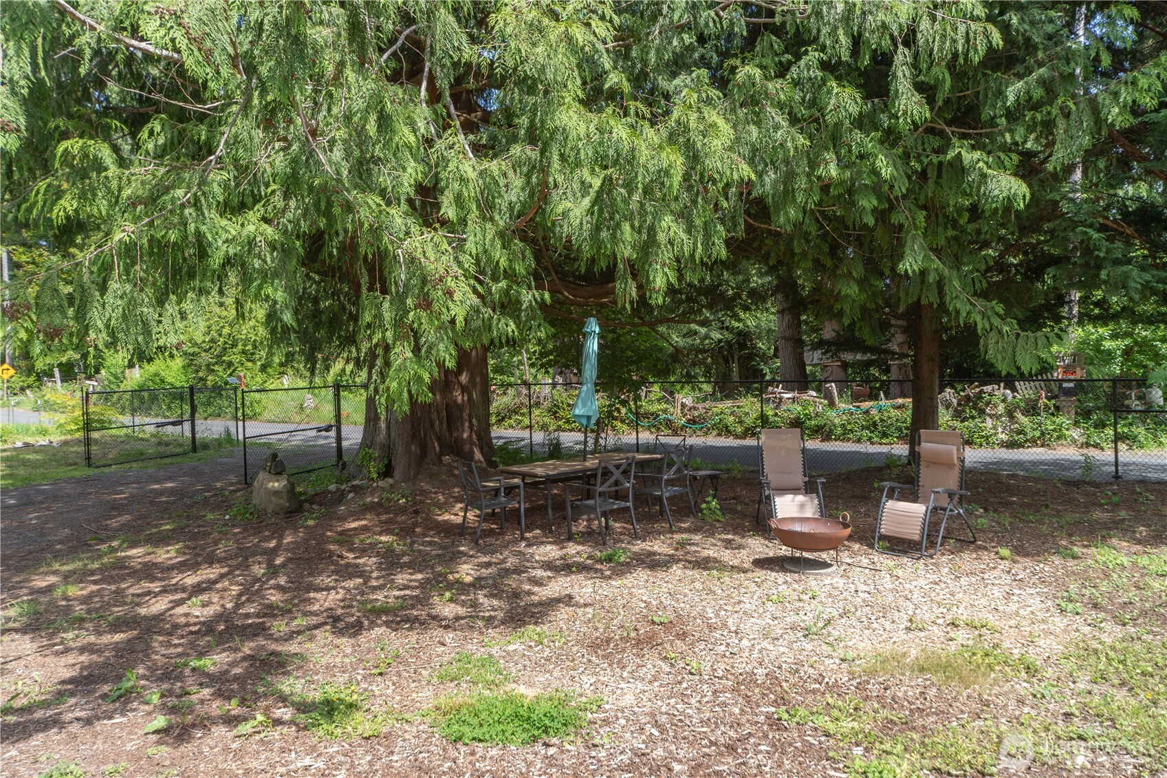 290 Werner Road Port Ludlow, WA 98365 - Photo 39 of 40 a view of a backyard with large trees