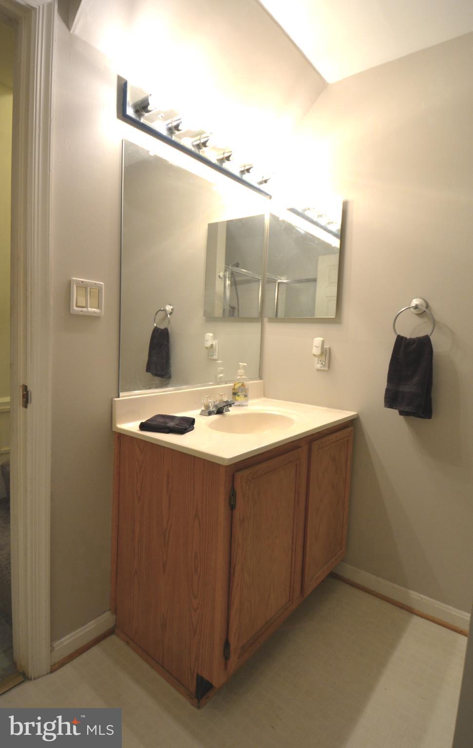 4701 Wainwright Circle Owings Mills, MD 21117 - Photo 36 of 59 Lower level bathroom vanity