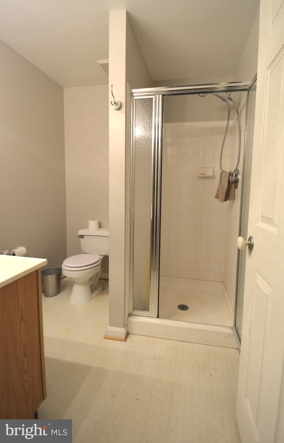 4701 Wainwright Circle Owings Mills, MD 21117 - Photo 37 of 59 Lower level shower