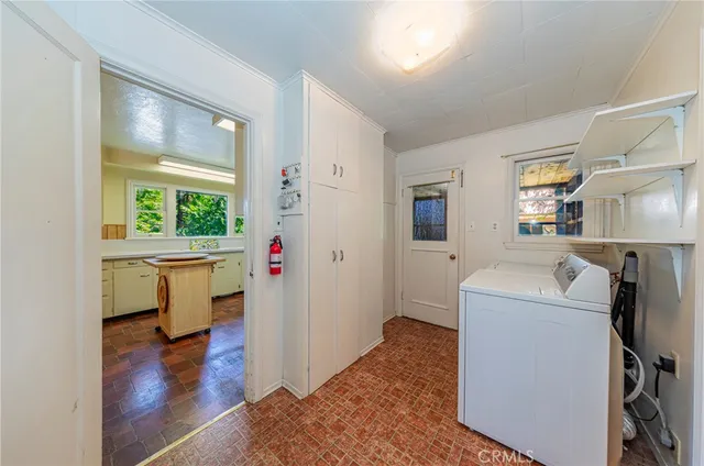 a backyard of a house with plants and large trees