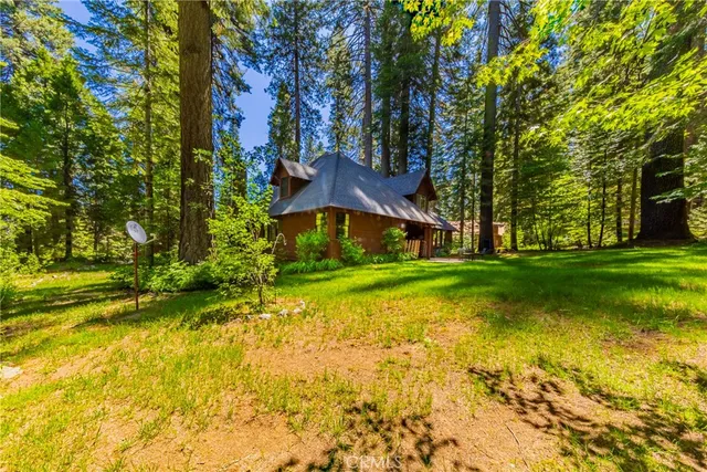 a view of yard with green space