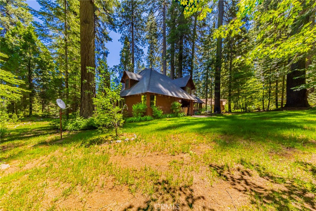 1173 Railroad Avenue Fish Camp, CA 93623 - Photo 47 of 75 a view of a yard with plants and large trees