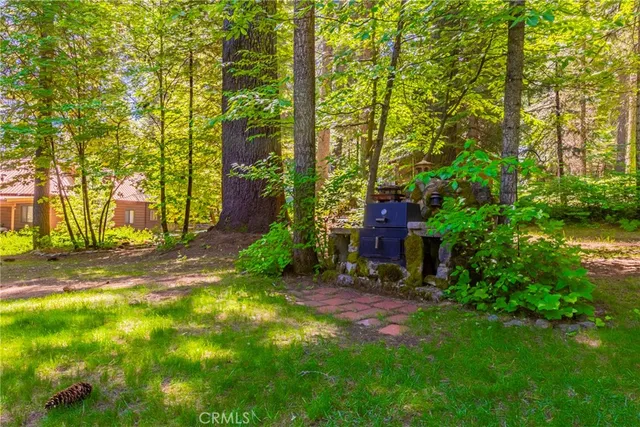 a view of a street with large trees