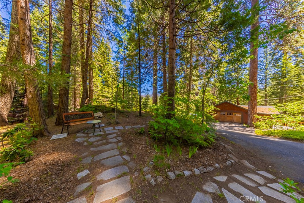 1173 Railroad Avenue Fish Camp, CA 93623 - Photo 67 of 75 a backyard of a house with lots of green space