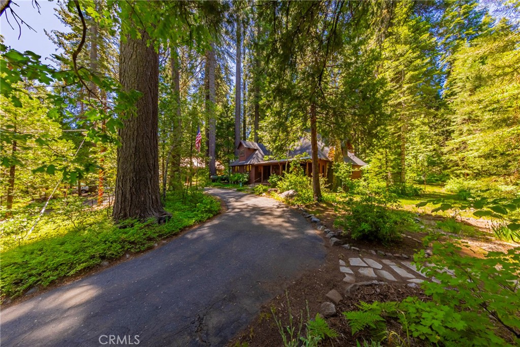 1173 Railroad Avenue Fish Camp, CA 93623 - Photo 69 of 75 a view of a street with large trees