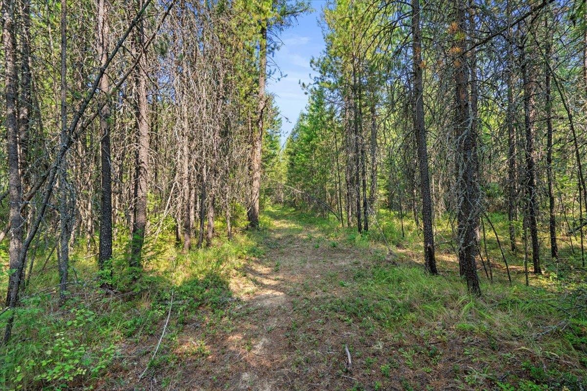 311 Bigfoot Road Newport, WA 99156 - Photo 14 of 22