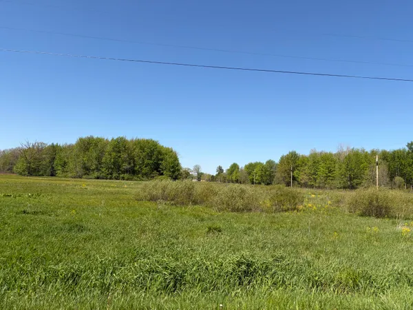 $44,500 | 0 40th Street, Unit PARCEL A, Paw Paw, MI 49079