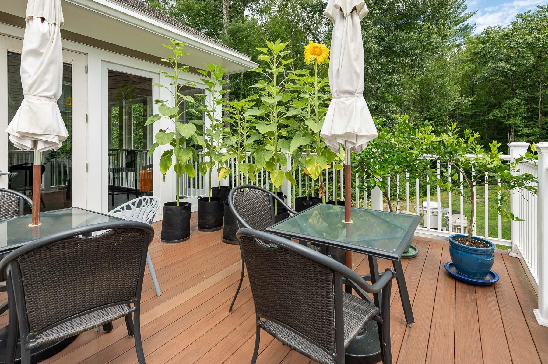 24 Willey Creek Road, Unit 108 Exeter, NH 03833 - Photo 30 of 39 Gallery Image 30