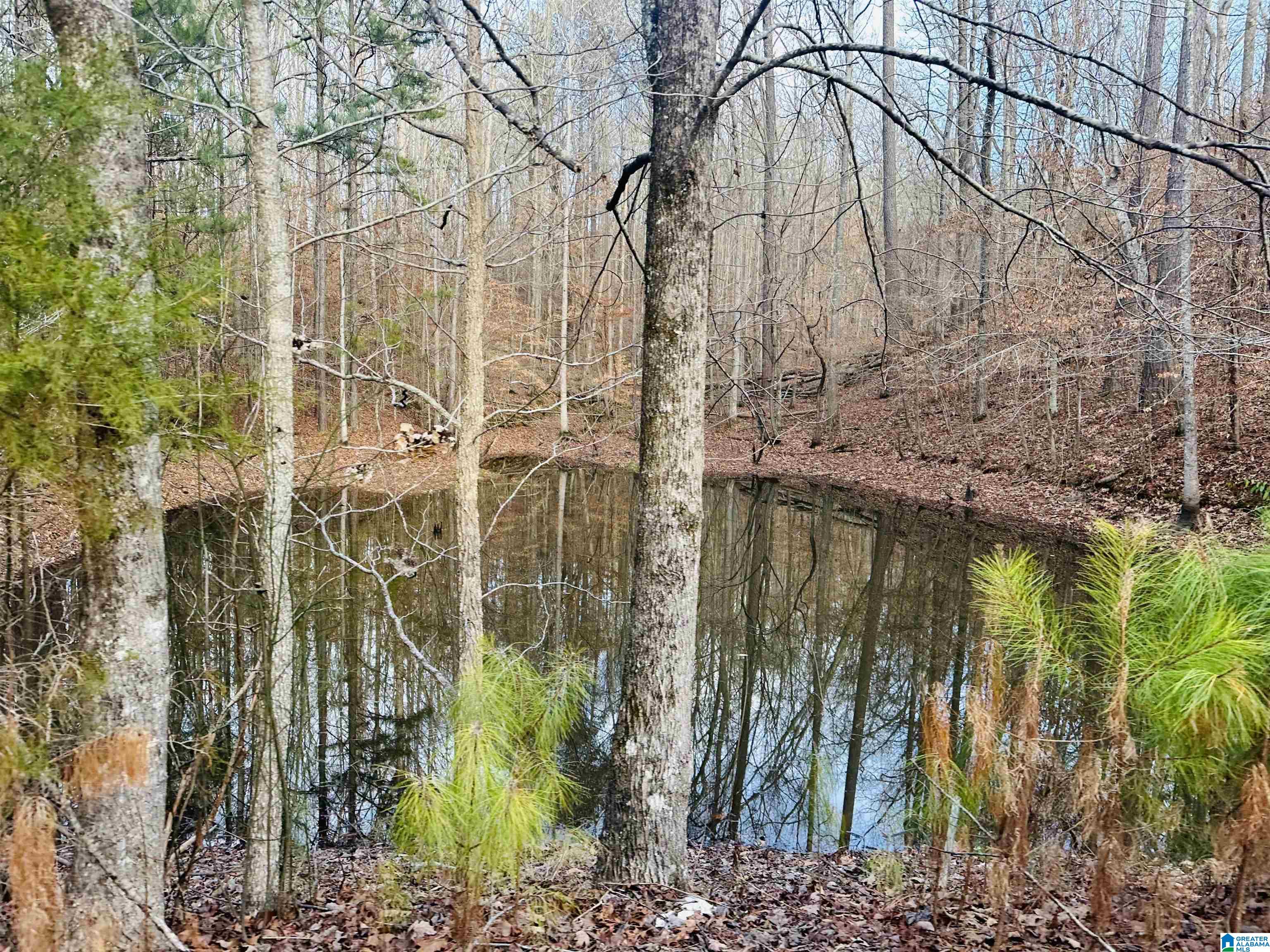 5325 Union T Road Talladega, AL 35160 - Photo 83 of 83