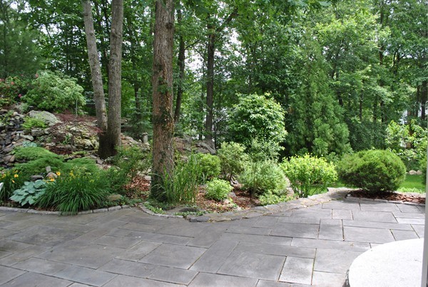 71 Yarmouth Road Wellesley, MA 02481 - Photo 4 of 21 a view of a garden with trees