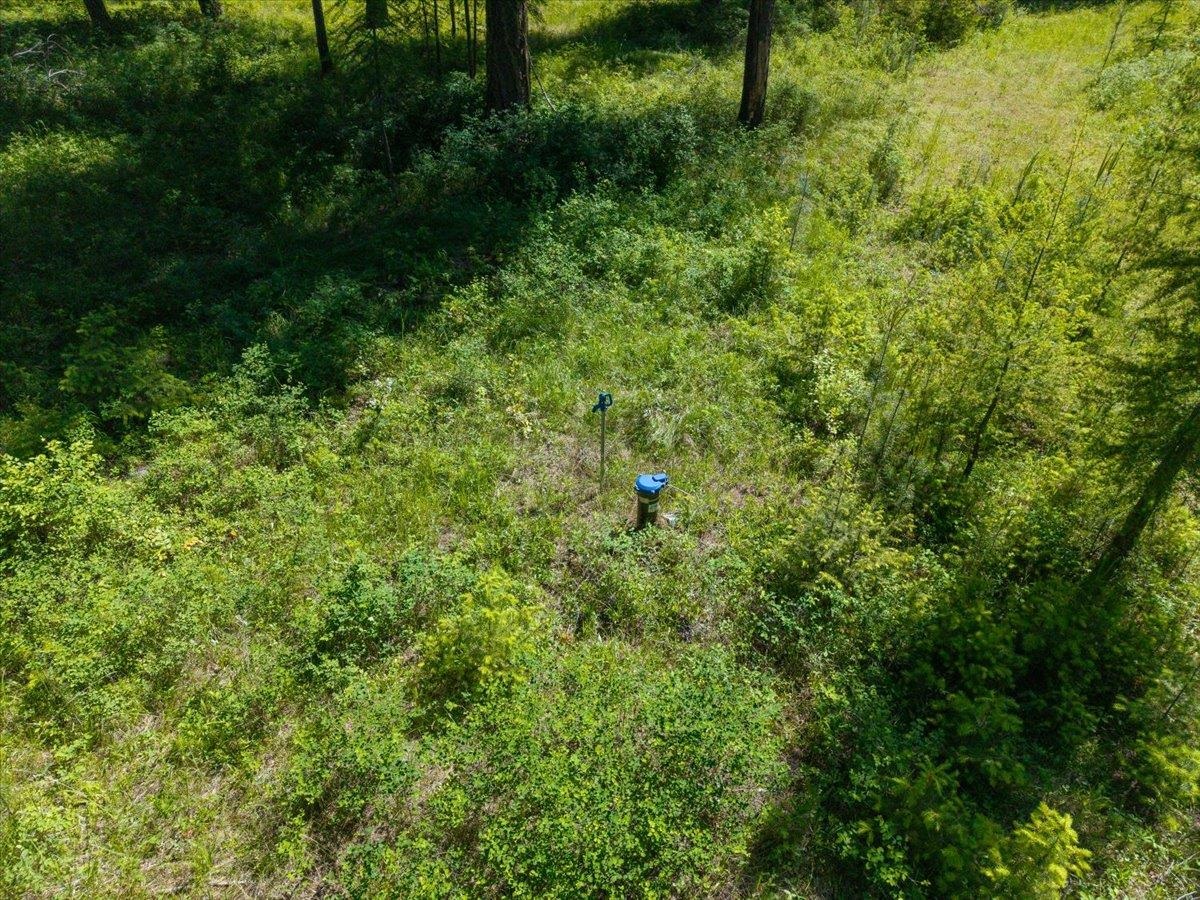 4668 Williams Valley Road Clayton, WA 99110 - Photo 26 of 44