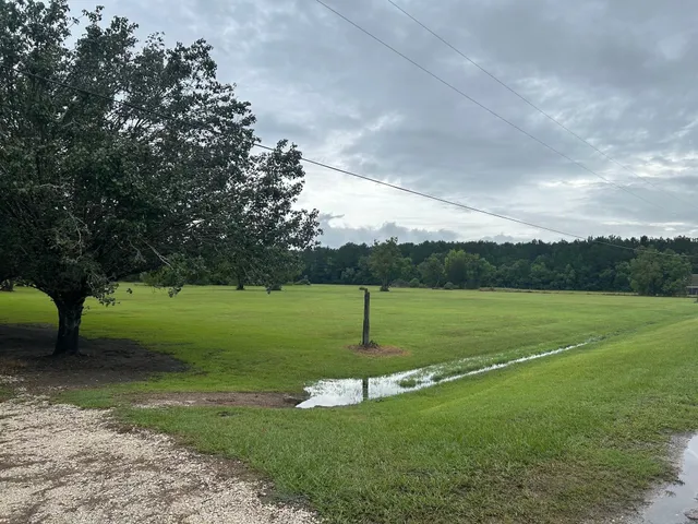 a view of a golf course with a garden