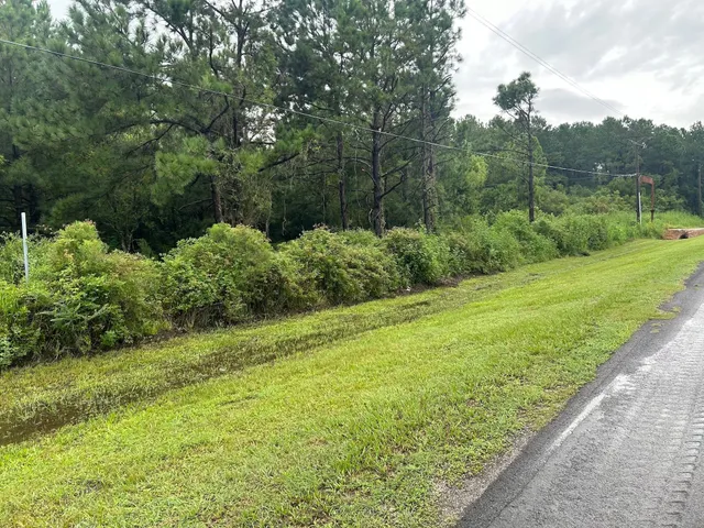 a view of a yard with an trees
