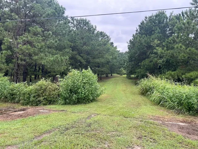 a view of a yard with a tree