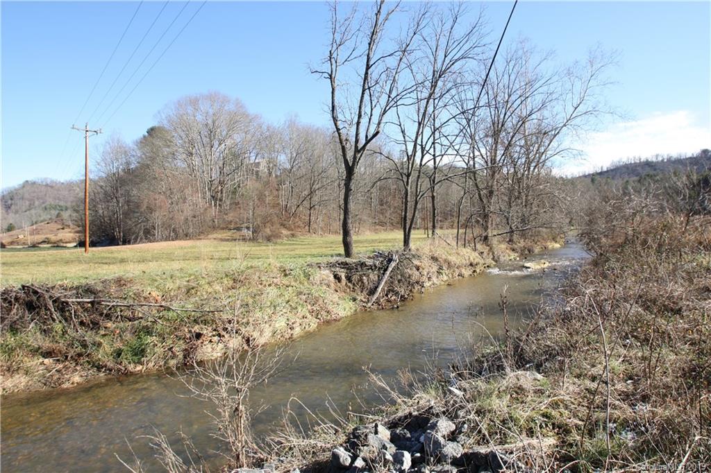199 Sandy Mush Creek Road Leicester, NC 28748 - Photo 1 of 9 a view of open space with trees all around