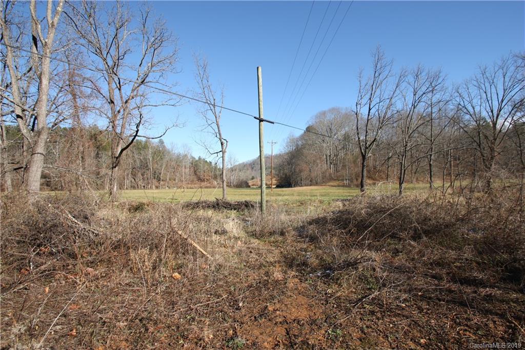 199 Sandy Mush Creek Road Leicester, NC 28748 - Photo 4 of 9 a view of a yard