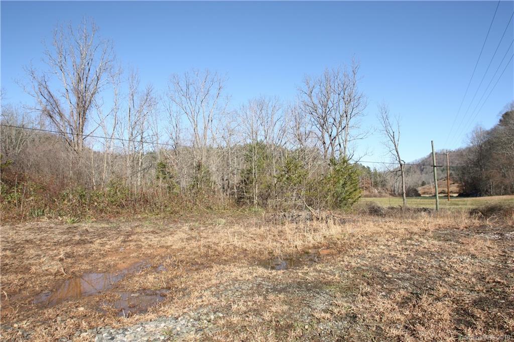 199 Sandy Mush Creek Road Leicester, NC 28748 - Photo 5 of 9 a view of a yard