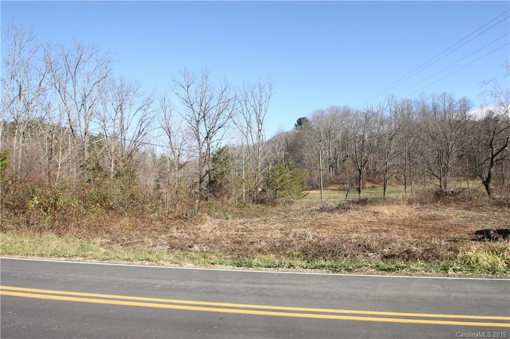 199 Sandy Mush Creek Road Leicester, NC 28748 - Photo 8 of 9 a view of a dry yard with trees