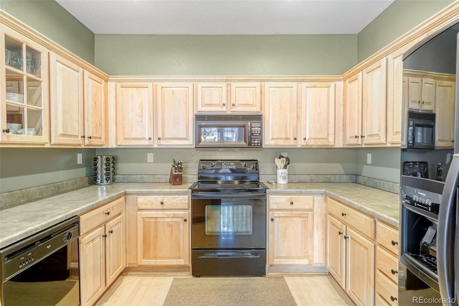 176 Whitehaven Circle Highlands Ranch, CO 80129 - Photo 11 of 31