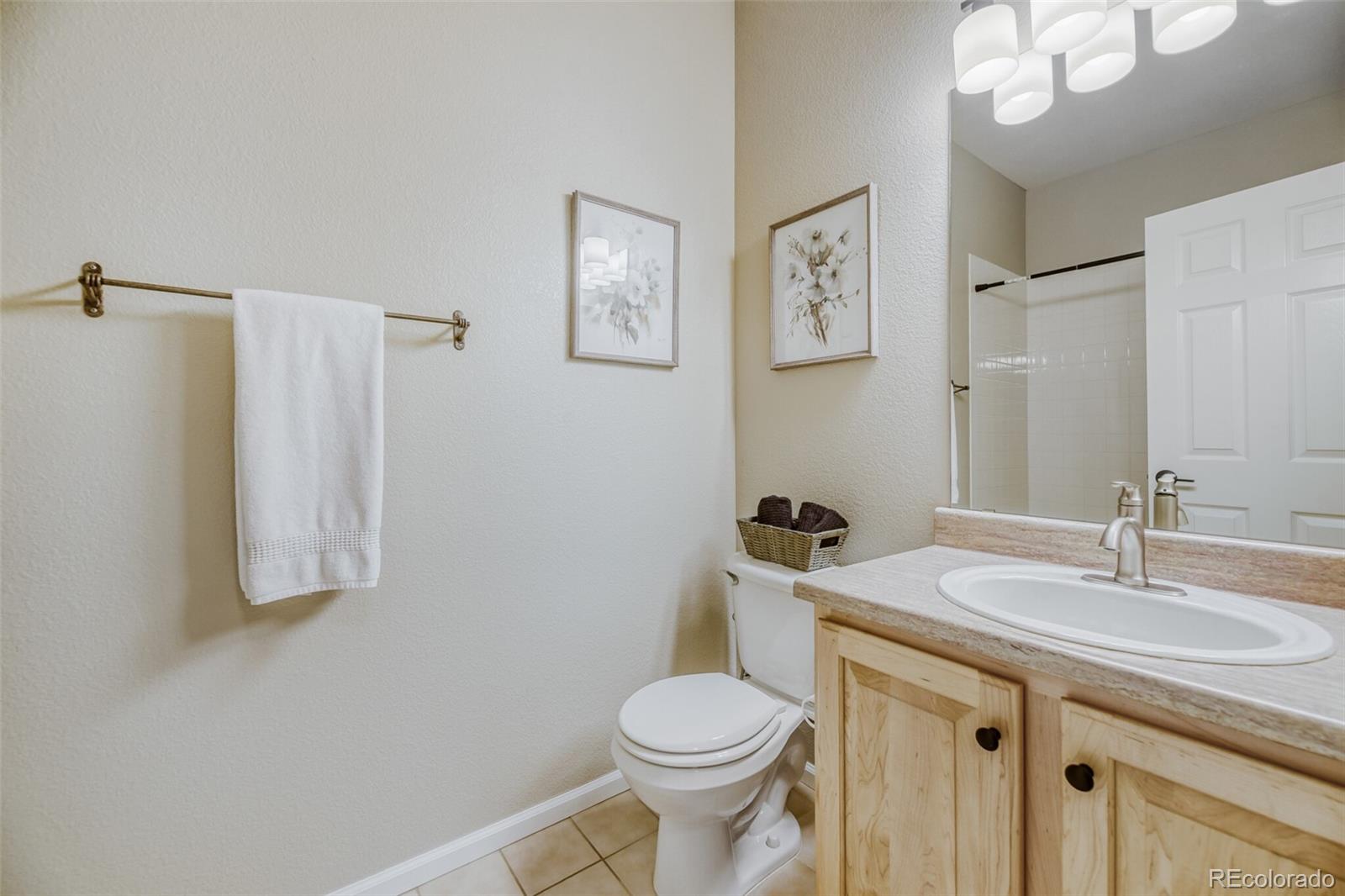 176 Whitehaven Circle Highlands Ranch, CO 80129 - Photo 20 of 31