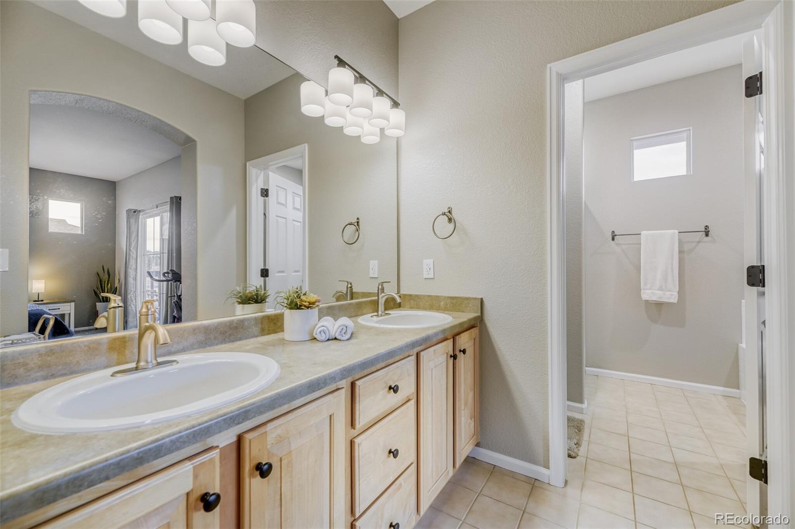 176 Whitehaven Circle Highlands Ranch, CO 80129 - Photo 21 of 31